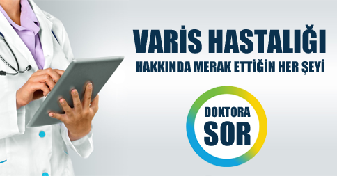 Varis Soruları